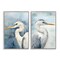 Stupell Industries Watercolor Detailed Beach Birds 2 pc Framed Giclee Wall Art Set Design by Petal Prints Design